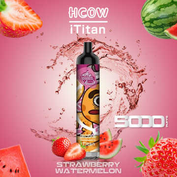 Newest HCOW iTitan 5000puffs Rechargeable Disposable Vape