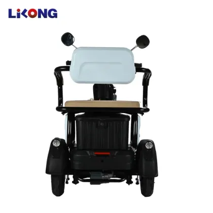 L-L04 Small E-Trike for Elderly People" could be shortened and optimized for a search engine as:

"Elderly-Friendly L-L04 Small Electric Tricycle