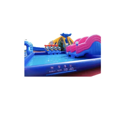 Giant Inflatable Water Slide and Play Equipment for Outdoor Fun