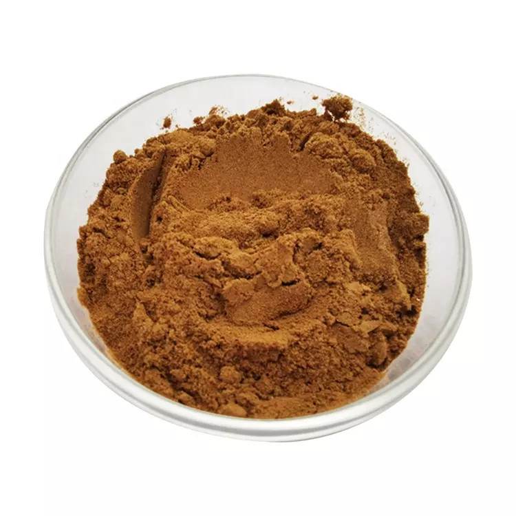 A visual representation of Schisandra berry powder in use.