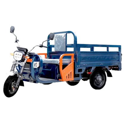 Mobility Three Wheeled Electric Motorcycle Cargo