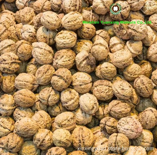 organic planted walnut shelled halves with light color
