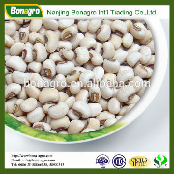 white black eyed cowpea