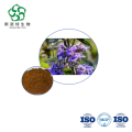Bulk Chasteberry Powder 10:1 Supporting Women's Health