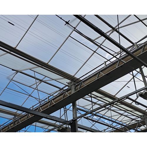 Butterfly Full Length Window Glass Greenhouse