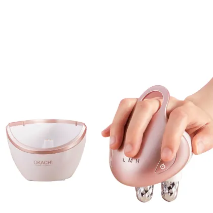 Home Use Products Vibrating Electrical Face Beauty equipment