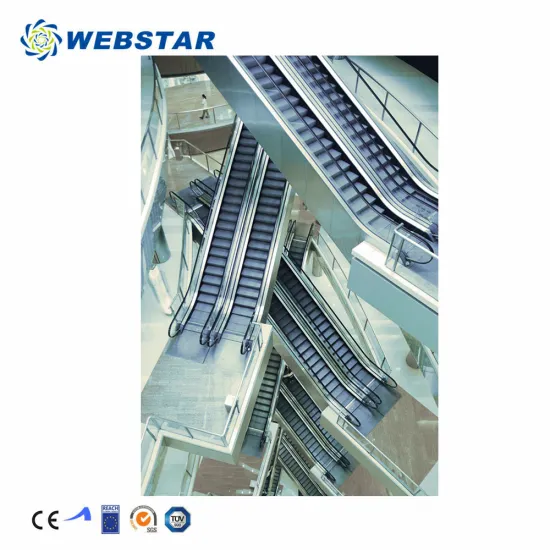 Fuji Mall: High Quality Elevators at Great Prices