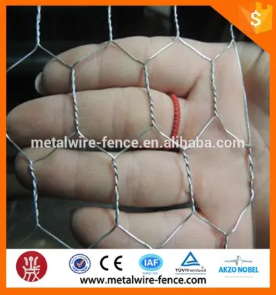 Hexagonal small mesh nets