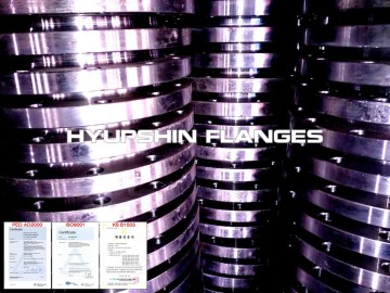 EN1092-1 Type 01Slip On WNRF PN25 Flange
