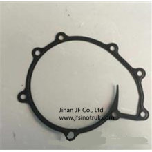 201V06901-0192 080V06901-0196 Water Pump Gasket