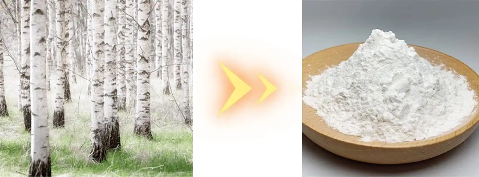 Birch Bark Extract (5)