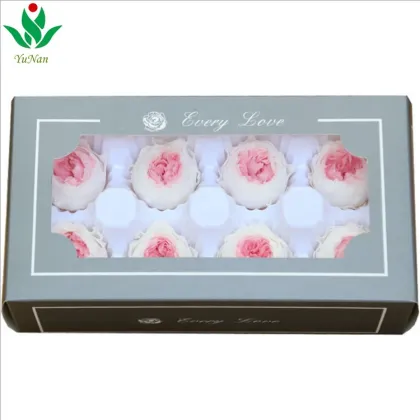 Wholesale Eternal Rose Austin Preserved Flower for Floral Arrangement