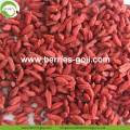 Borong Natural Eu Standard Goji Berry yang Sihat