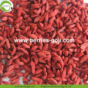 Großhandel gesunde natürliche Eu Standard Goji Berry