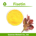 Smoke Tree Extract 98% Fisetin Powder