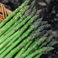 Lipid-lowering effect total flavonoid 10:1 asparagus extract