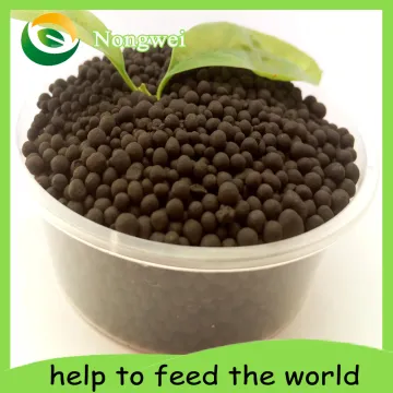 Best Organic Fertilizer for Lawns
