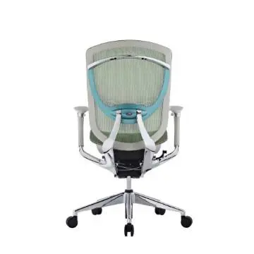Ergonomic Chair