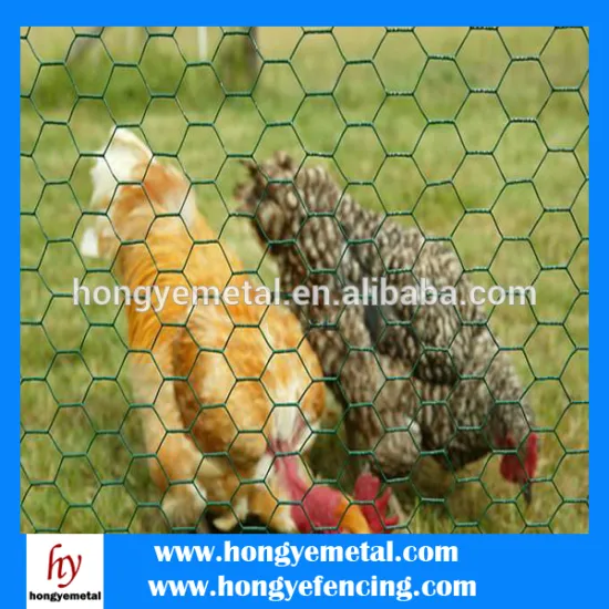 Hexagonal Poultry Netting/Chicken Netting/23 gauge 1/2"Chicken Wire