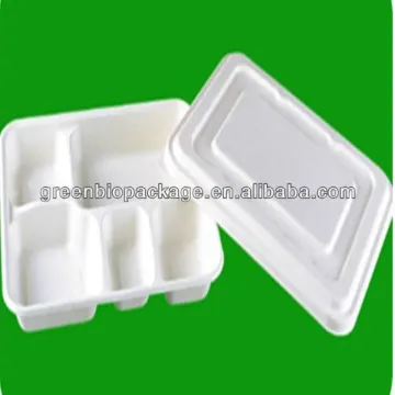 Eco-friendly Disposable Sugarcane Pulp Tray with lid