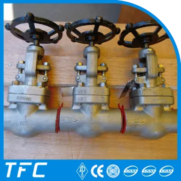 hastelloy plug disc forged steel globe valve