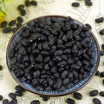 Non-Gmo Dried Black Bean Black Kidney Beans