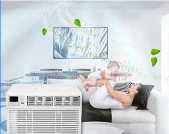 Window AC Cooling and Hot Air Conditioners: Inverter Window Type Air Conditioner