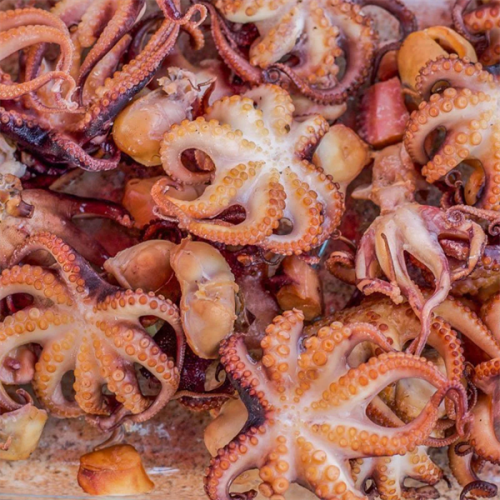 اختاپوس بچه یخ زده کامل تمیز شده