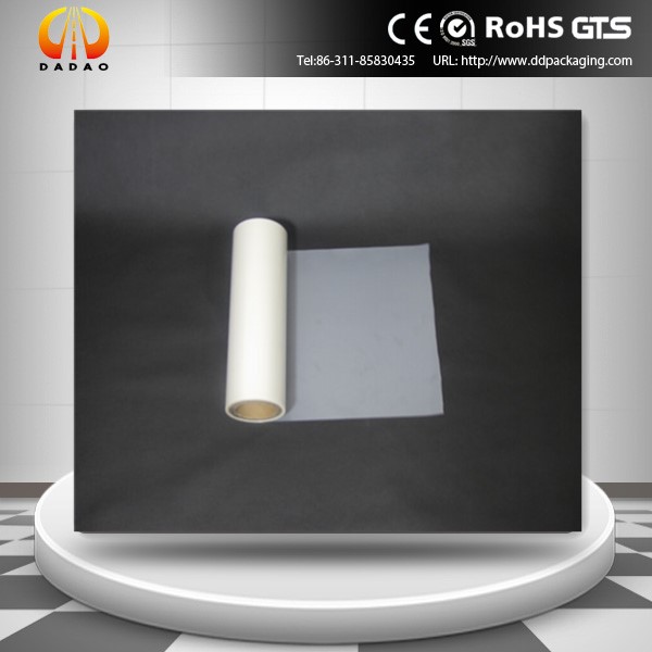 PET anti UV film (11)