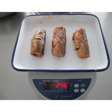 Canned Fish Sardines Seafood In Vegetable Oil Tomato Sauce delicious canned Mackerel