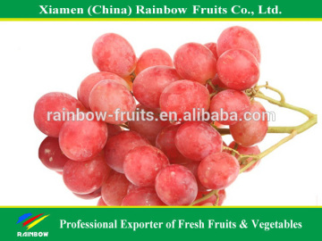 export delicious sweet fresh red globe grape red globe grape