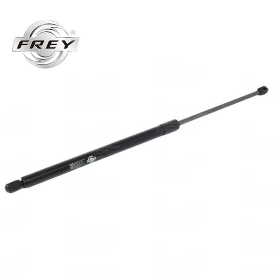 Tailgate Struts for Mercedes Benz V-Class W447 4479800264