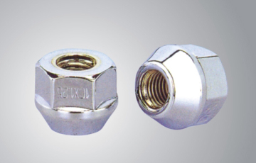 Wheel Bolts and Nuts (ZY-A46)