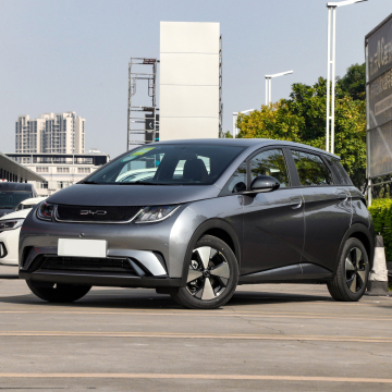 BYD Dolphin: Electric Car | New Energy Vehicle