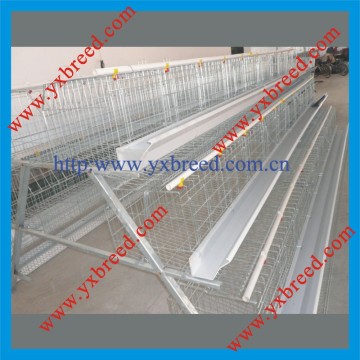 Big Capacity Super Layer Cages