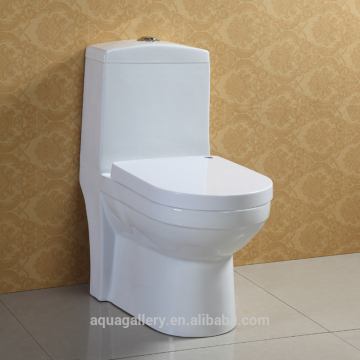 Lavatory High Efficiency Dual Flush Ceramic Toilets