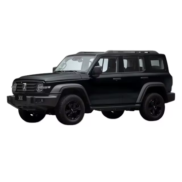 2023-2024 Chinese SUV: Tank300 5-Door 5-Seater Petrol Engine Compact Used Car