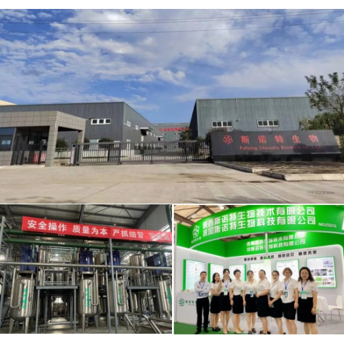 Coconut Extract Powder 70% Mct Powder