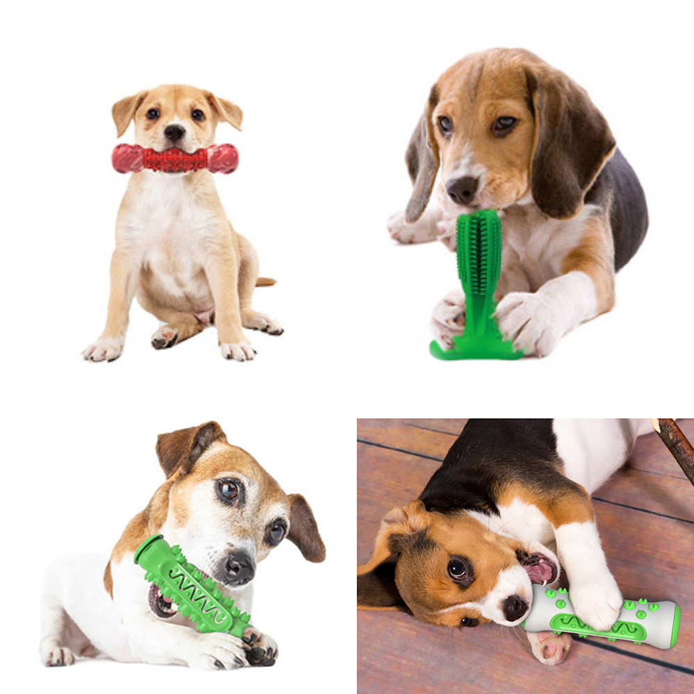 Chew Sticks Chew Sticks