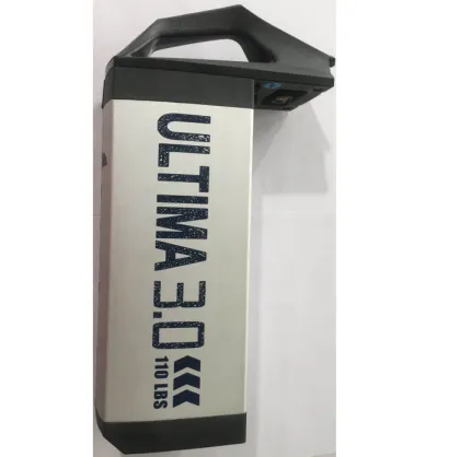 Haswing Li-PO Battery for Ultima 59925