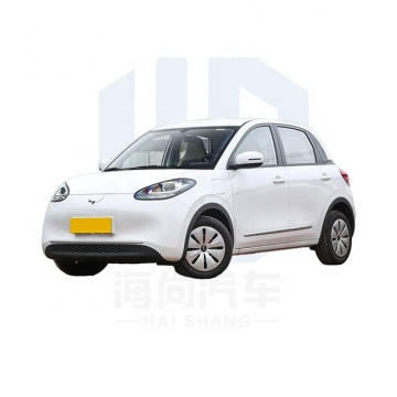 Wuling Bingo Electric: 5-πόρτα 4 θέσεων hatchback