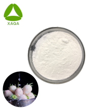 Organic White Strawberry Fruit Extract 99% Powder