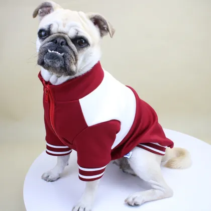 Small Dogs Pets Sportswear Jackets Clothing Pet Apparel