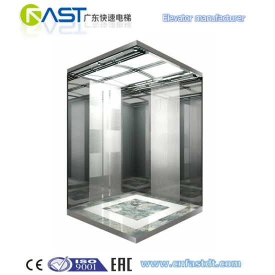 630KG 8 Persons Passenger Elevator with 1.0m/s .outdoor elevator/commercial elevator