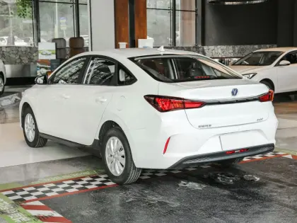 Changan Yidong New Energy Passenger Vehicle