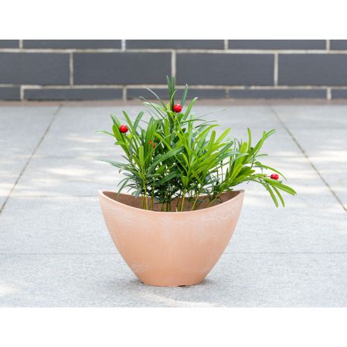 Maceta estilo lingote de oro