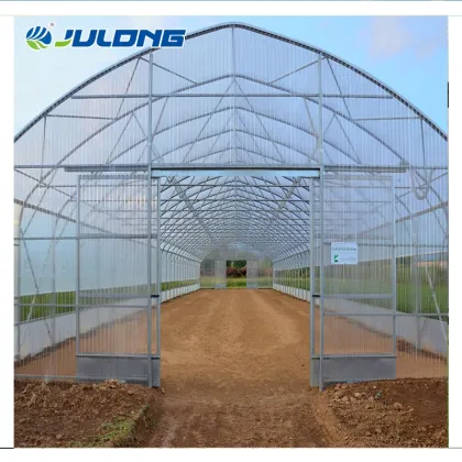 Hydroponics farm single-span agricultural greenhouse