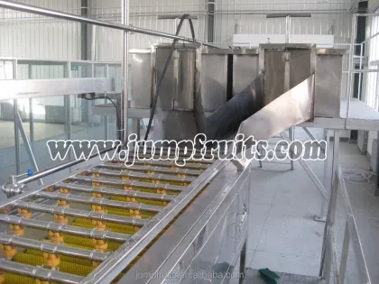 fruit vegetable washer cleaning machine