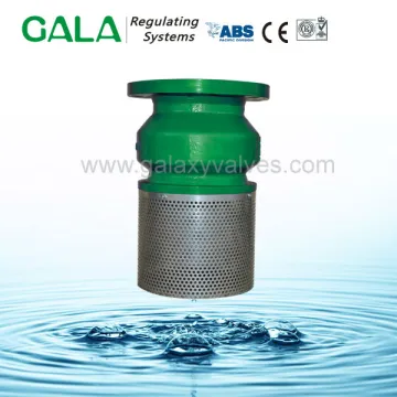 Flanged Cast Iron Foot Valve with Screen