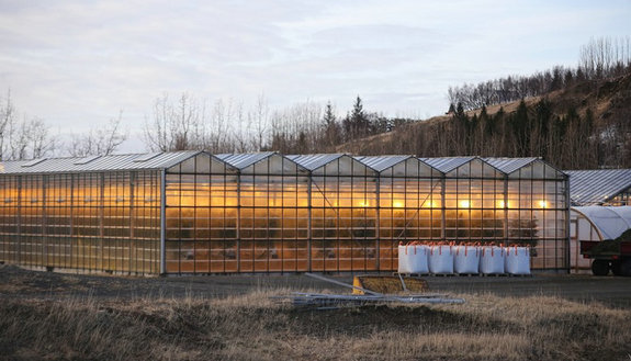 Prefabricated Agricultural Steel Structure Greenhouse